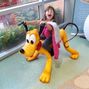 Meet your Posher, Robert alli